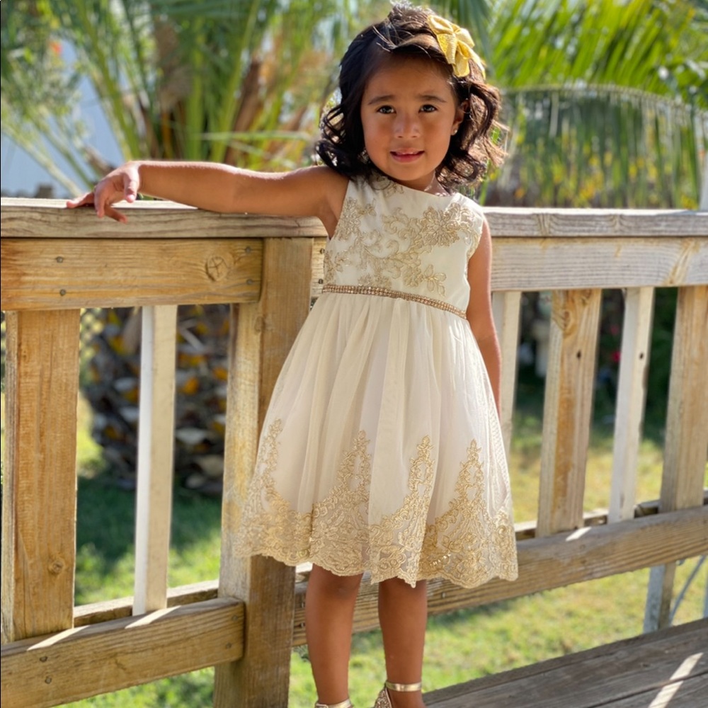 Formal Girl Dress Sz 3T